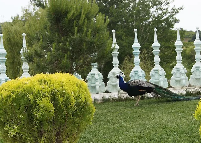 Sozopoli Hills Simeonov * Sozopol